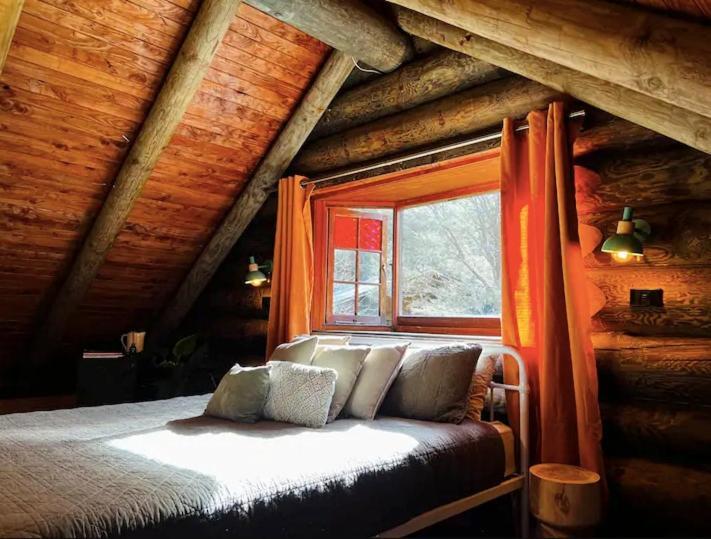 Coromandel Secluded Log Cabin Retreat Hikuai Экстерьер фото